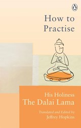 How To Practise - Dalai Lama - 9781846046414