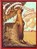The Wainscott Weasel, Tor Seidler - Paperback - 9781846470783