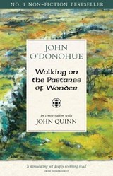Walking on the Pastures of Wonder - John Quinn - 9781847307675