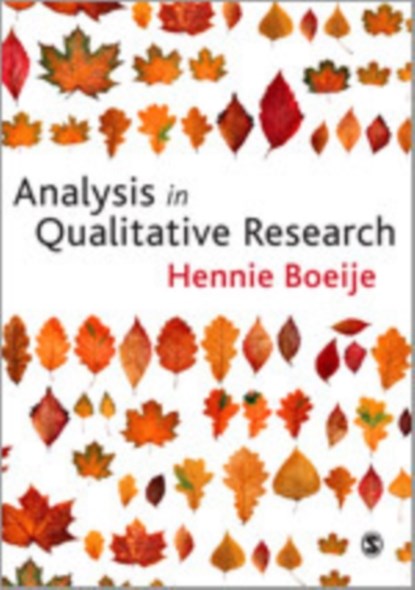 Analysis in Qualitative Research, Hennie R Boeije - Gebonden - 9781847870063