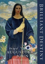 Brilliant Destiny - David Boyd Haycock - 9781848226579
