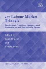 The Labour Market Triangle - Paul de Beer ; Trudie Schils - 9781848444782