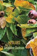 Medlars - Geraldine Clarkson - 9781848618688