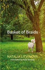 Basket of Braids - Natalia Litvinova - 9781848619371