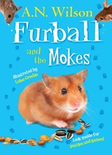 Furball and the Mokes - A. N. (Author) Wilson - 9781848879546