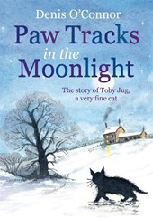Paw Tracks in the Moonlight