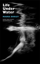 Life Under Water - Maura Dooley - 9781852248178