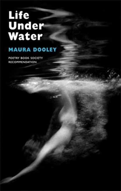 Life Under Water, Maura Dooley - Paperback - 9781852248178