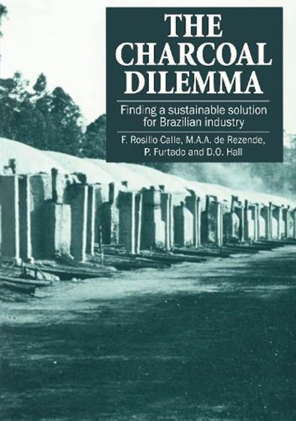 The Charcoal Dilemma, F Rosillo-Calle - Paperback - 9781853393228