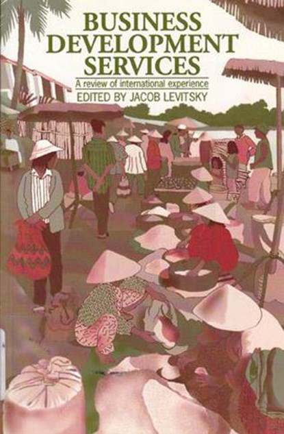 Business Development Services, LEVITSKY,  Jacob - Paperback - 9781853395062
