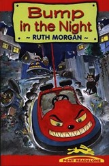 Pont Readalone: Bump in the Night - Ruth Morgan - 9781859029442