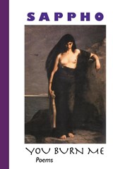 You Burn Me - Sappho - 9781861715418