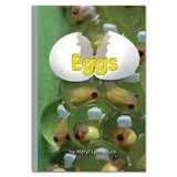 Eggs - Meryl-Lynn Pluck - 9781869743567