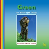 Green - Meryl-Lynn Pluck - 9781869743819