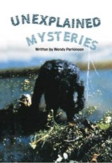 Unexplained Mysteries - Wendy Perkinson - 9781869746681