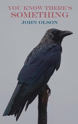You Know There's Something - OLSON,  John - 9781874400899