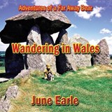 Adventures of a Far Away Bear - JUNE EARLE,  Earle - 9781876922627