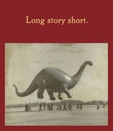 Long Story Short - Jeffrey Fraenkel - 9781881337492