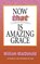 Now That's Amazing Grace, MACDONALD,  William - Paperback - 9781882701216