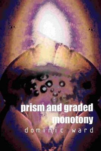 Prism and Graded Monotony, WARD,  Dominic - Paperback - 9781884097157