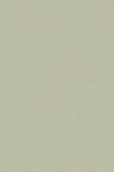 The Cyclopedic Law Dictionary - SHUMAKER,  Walter A.; Longsdorf, George Foster; Cahill, James Christopher - 9781886363854