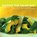 Raising the Salad Bar, WALTHERS,  Catherine - Paperback - 9781891105333