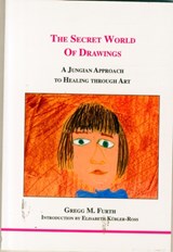 The Secret World of Drawings - Gregg M. Furth - 9781894574006