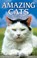 Amazing Cats, Omar Mouallem - Paperback - 9781894864732