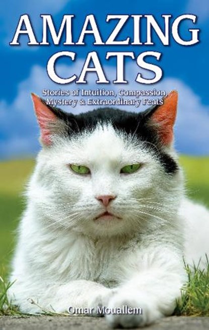 Amazing Cats, Omar Mouallem - Paperback - 9781894864732