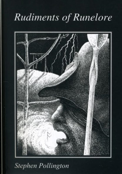Rudiments of Runelore, Stephen Pollington - Paperback - 9781898281498