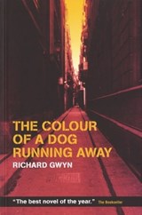 The Colour of a Dog Running Away - Richard Gwyn - 9781902638720