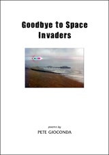 Goodbye to Space Invaders - Pete Gioconda - 9781902976099