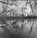 Crossing the Water, Nicholas Sinclair - Gebonden - 9781903796023