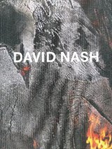 David Nash - Wood, Metal, Pigment - Hugh Aldersey-Williams - 9781904621850
