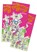 Pocket Playground Games, Jenny Mosley - Overig - 9781904866527