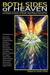 Both Sides of Heaven - Stephen Skinner ; David Rankine ; Aaron Leitch - 9781905297269