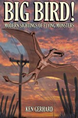 Big Bird! - Ken Gerhard - 9781905723089