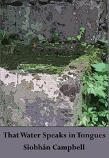 That Water Speaks in Tongues - Siobhan Campbell - 9781906285234