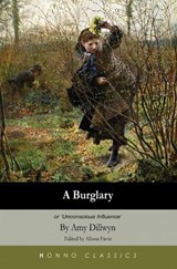 A Burglary - Amy Dillwyn - 9781906784072