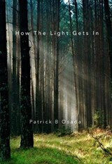 How the Light Gets In - Patrick B Osada - 9781907435621