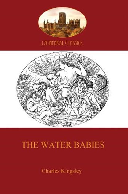 Water Babies, Kingsley, Charles - Paperback - 9781907523311