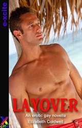 Layover - Elizabeth Coldwell - 9781908262455
