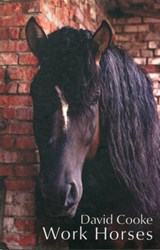 Work Horses - David Cooke - 9781908742001