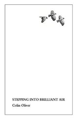 Stepping Into Brilliant Air - OLIVER,  Colin - 9781908774767