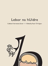 Codices Hibernenses Eximii I - O HUIGINN,  Ruairi - 9781908996602