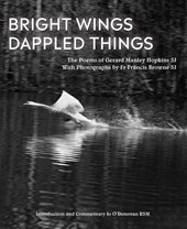 Bright Wings, Dappled Things