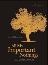 All My Important Nothings - DOOLEY,  Maura - 9781910367421
