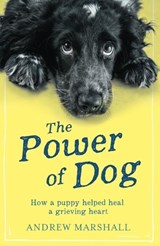 The The Power of Dog - Andrew Marshall - 9781910453605