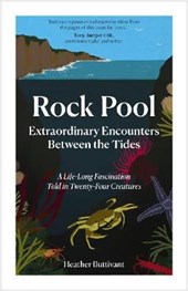 Rock Pool: Extraordinary Encounters Between the Tides