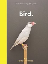 Bird. - Hoxton Mini Press - 9781910566718